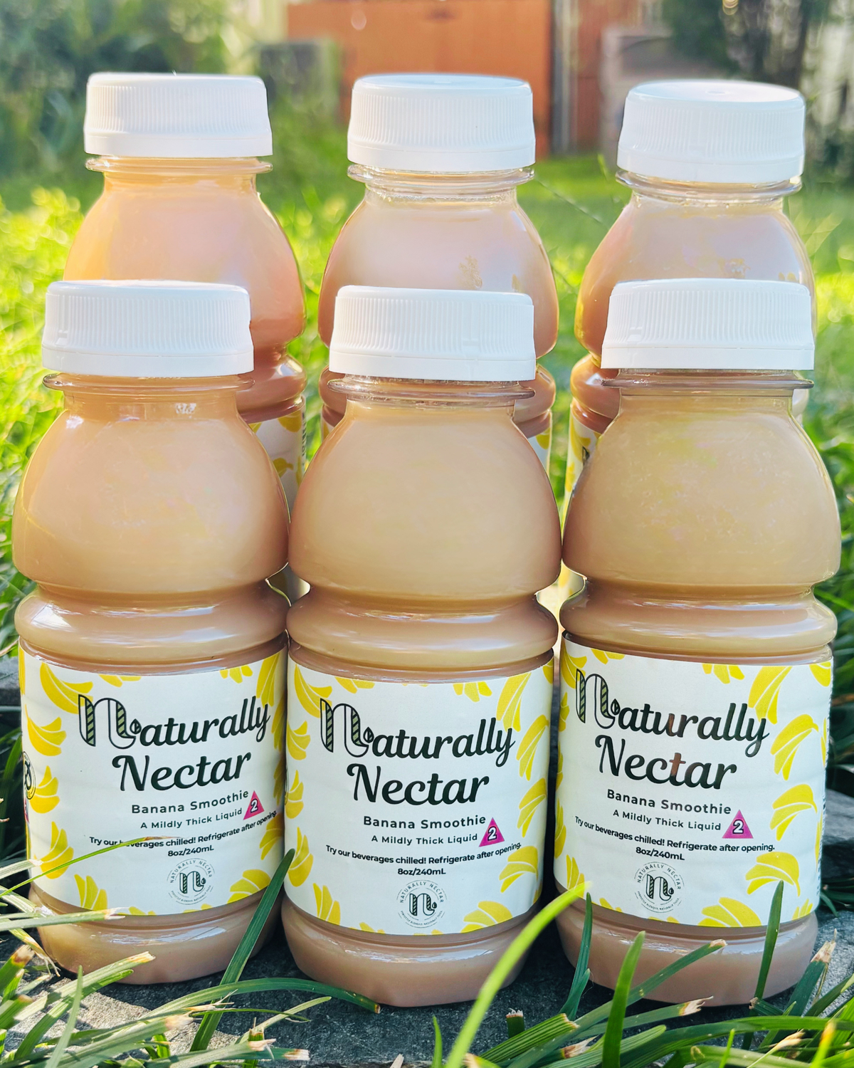 Banana Smoothie - Mildly Thick- 6 Pack
