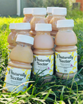 Banana Smoothie - Mildly Thick- 9-Pack